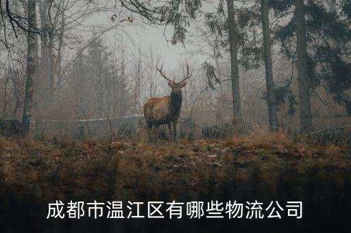 成都市溫江區(qū)有哪些物流公司