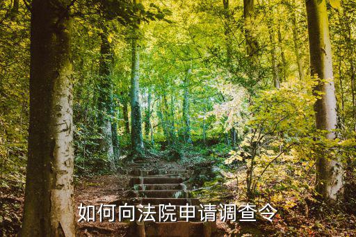 如何向法院申請(qǐng)調(diào)查令