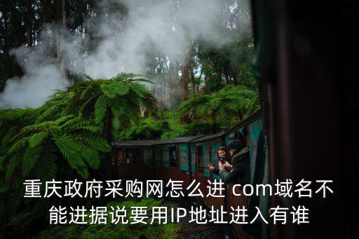重慶政府采購網怎么進 com域名不能進據說要用IP地址進入有誰