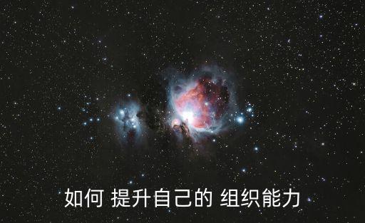 如何 提升自己的 組織能力