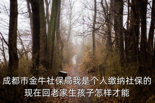 成都市金牛社保局我是個人繳納社保的現在回老家生孩子怎樣才能