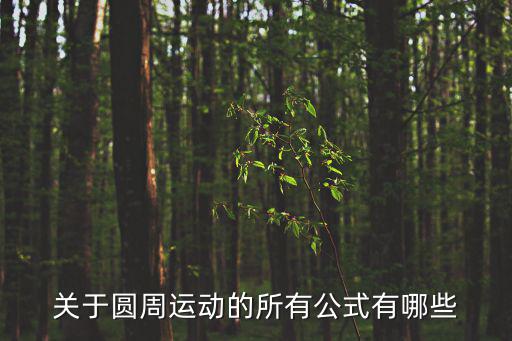 關于圓周運動的所有公式有哪些
