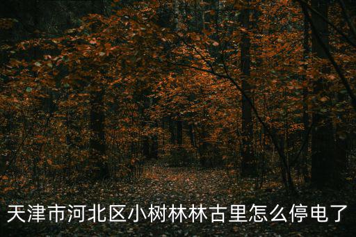 天津市河北區(qū)小樹林林古里怎么停電了