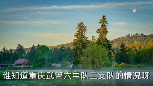 誰(shuí)知道重慶武警六中隊(duì)二支隊(duì)的情況呀