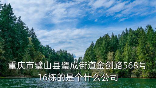 重慶市璧山縣璧成街道金劍路568號16棟的是個什么公司