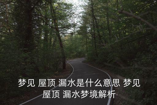  夢見 屋頂 漏水是什么意思 夢見 屋頂 漏水夢境解析