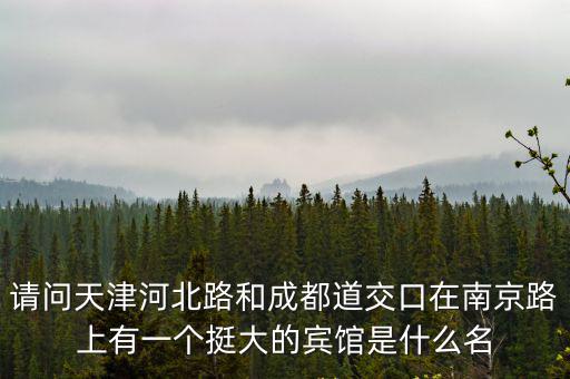 請(qǐng)問天津河北路和成都道交口在南京路上有一個(gè)挺大的賓館是什么名
