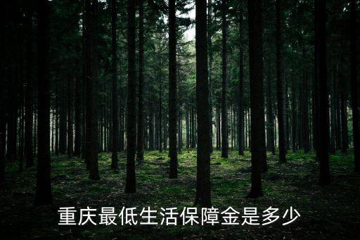 重慶最低生活保障金是多少