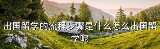 出國留學的流程步驟是什么怎么出國留學呢