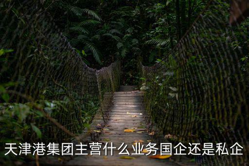 天津市紅港集團有限公司，天津港集團主營什么業務國企還是私企