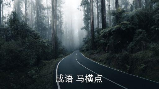 成語 馬橫點