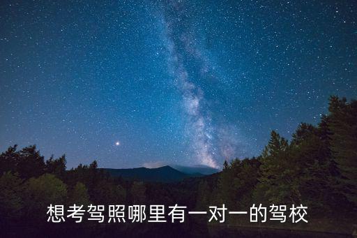 想考駕照哪里有一對一的駕校