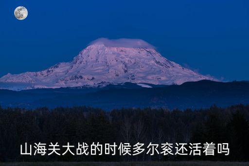 山海關(guān)大戰(zhàn)，山海關(guān)的戰(zhàn)爭(zhēng)
