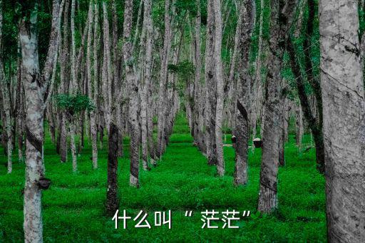 茫茫,蒙古大草原:沒(méi)有茫茫