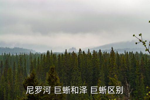 尼羅河 巨蜥和澤 巨蜥區別