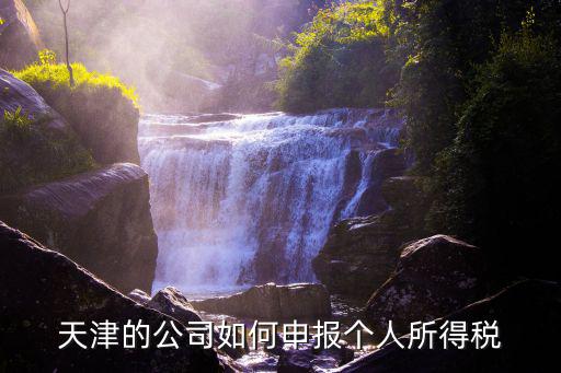 天津的公司如何申報個人所得稅