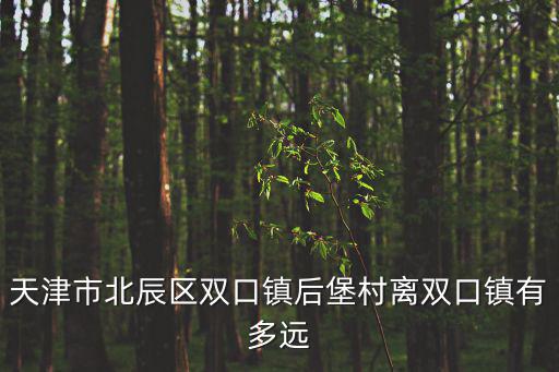 天津市北辰區(qū)雙口鎮(zhèn)后堡村離雙口鎮(zhèn)有多遠