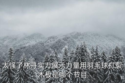 林丹羽毛球比賽視頻，8月14日羽毛球世錦賽決賽直播林丹VS李宗偉 814羽毛球世錦賽決賽現(xiàn)