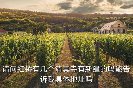 請(qǐng)問紅橋有幾個(gè)清真寺有新建的嗎能告訴我具體地址嗎