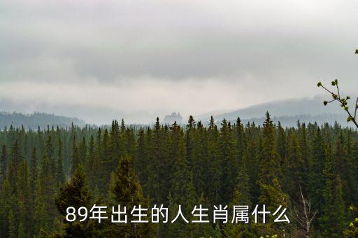 89年是什么生肖，89年出生的人生肖屬什么