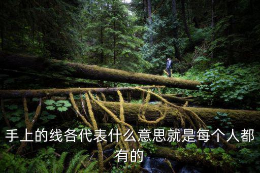 手上的線各代表什么意思就是每個(gè)人都有的