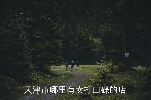 天津市河南路馬超凡，天津市哪里有賣打口碟的店