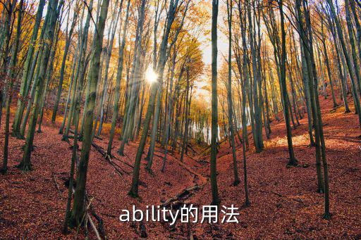 ability的用法