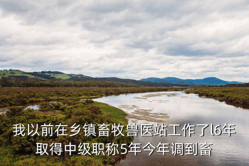 我以前在鄉鎮畜牧獸醫站工作了l6年取得中級職稱5年今年調到畜