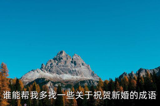 祝福新婚的成語，誰能幫我多找一些關于祝賀新婚的成語
