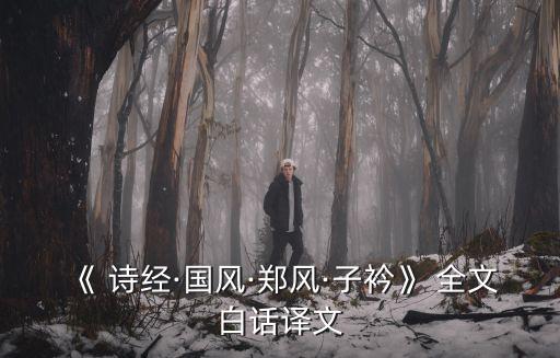 詩經子衿,【詩經.鄭風》第二集:思念心上人的詩
