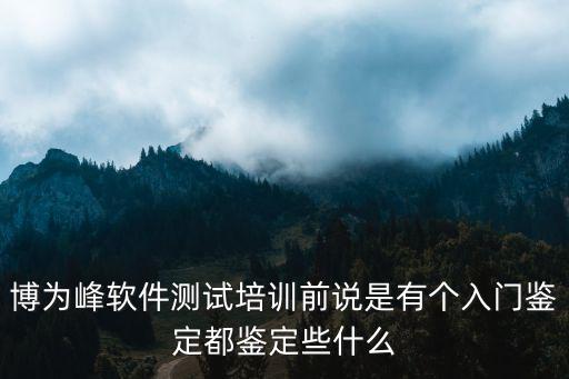 博為峰軟件測試培訓(xùn)前說是有個(gè)入門鑒定都鑒定些什么