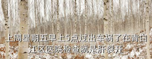 上周星期五早上5點過出車禍了在青白江區醫院檢查就是肝裂開