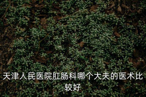 天津人民醫院肛腸科哪個大夫的醫術比較好