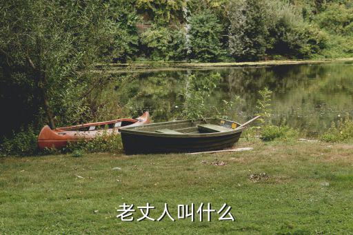 老丈人叫什么