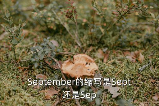 September的縮寫是Sept還是Sep