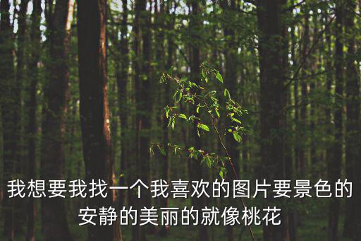 我想要我找一個(gè)我喜歡的圖片要景色的安靜的美麗的就像桃花