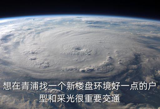 想在青浦找一個新樓盤環境好一點的戶型和采光很重要交通