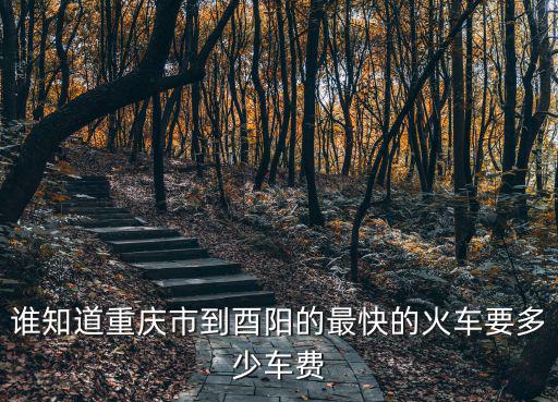 重慶市酉陽職教2021軍訓，重慶酉陽新二中的地址