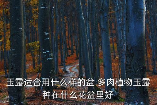 玉露適合用什么樣的盆 多肉植物玉露種在什么花盆里好