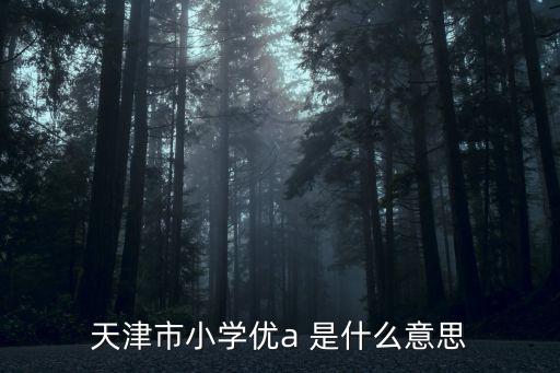 天津市純評優學生，天津市小學優a 是什么意思
