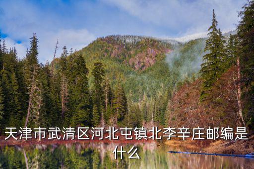 天津市武清區(qū)河北屯鎮(zhèn)北李辛莊郵編是什么