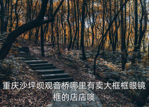 重慶沙坪壩觀音橋哪里有賣大框框眼鏡框的店店噢