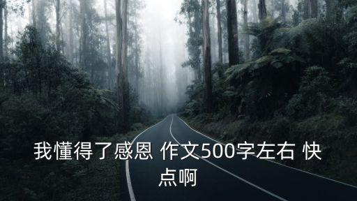我懂得了感恩 作文500字左右 快點(diǎn)啊