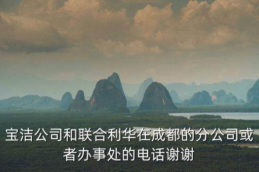 寶潔公司和聯合利華在成都的分公司或者辦事處的電話謝謝