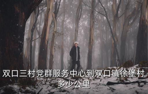 雙口三村黨群服務中心到雙口鎮徐堡村多少公里