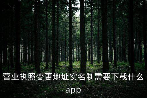 營業(yè)執(zhí)照變更地址實(shí)名制需要下載什么app
