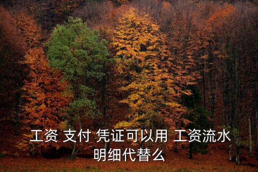 工資支付憑證,工資流水賬!