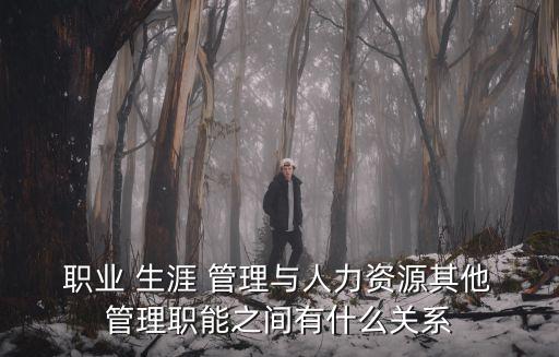  職業 生涯 管理與人力資源其他 管理職能之間有什么關系