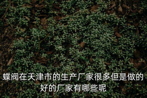 蝶閥在天津市的生產廠家很多但是做的好的廠家有哪些呢