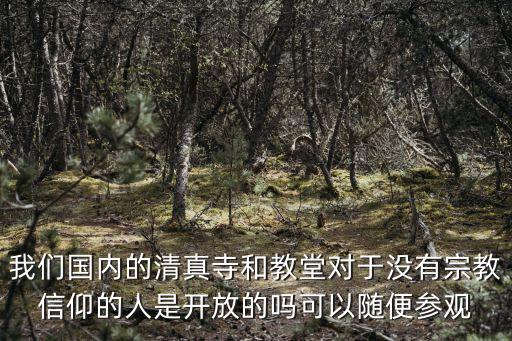 我們國內的清真寺和教堂對于沒有宗教信仰的人是開放的嗎可以隨便參觀